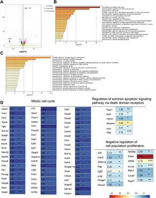 Chronic unpredictable mild stress-induced mouse ovarian insufficiency by interrupting lipid homeostasis in the ovary